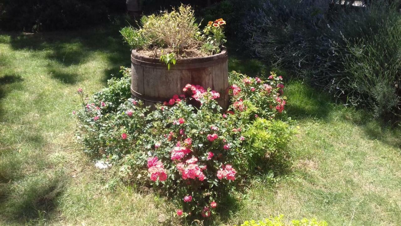 B&B Casa Losea Castello delle Forme Buitenkant foto